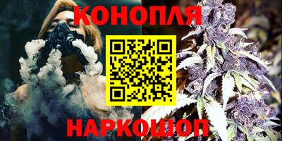 крисы Кулебаки