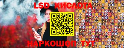 крисы Кулебаки