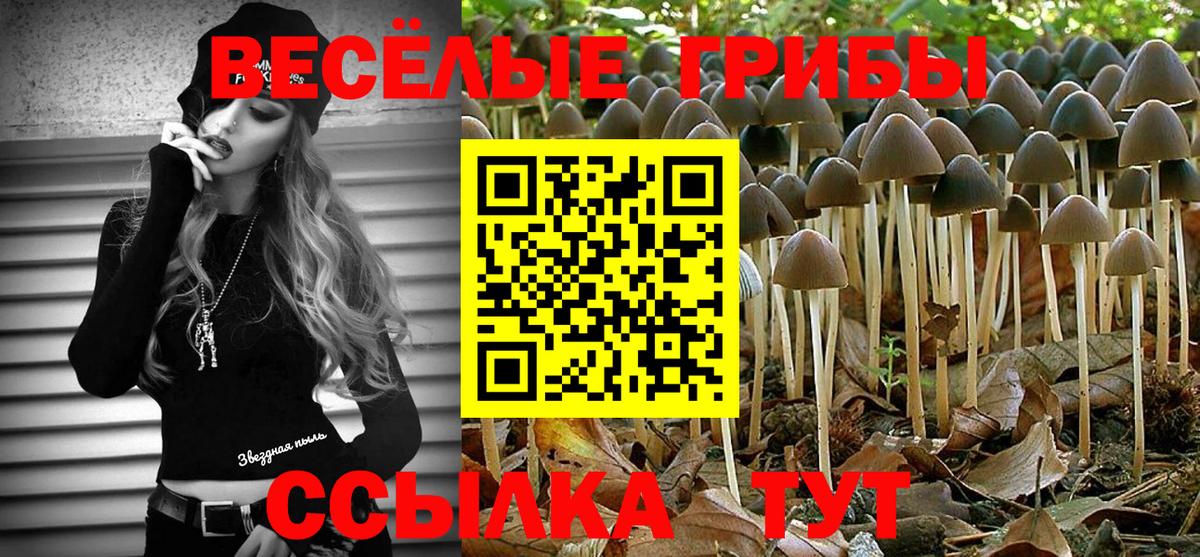 Псилоцибиновые грибы MAGIC MUSHROOMS  Вход с VPN  Электрогорск 