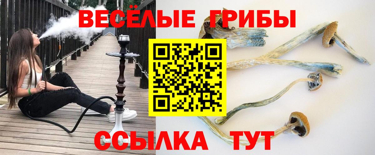 Псилоцибиновые грибы GOLDEN TEACHER Электрогорск